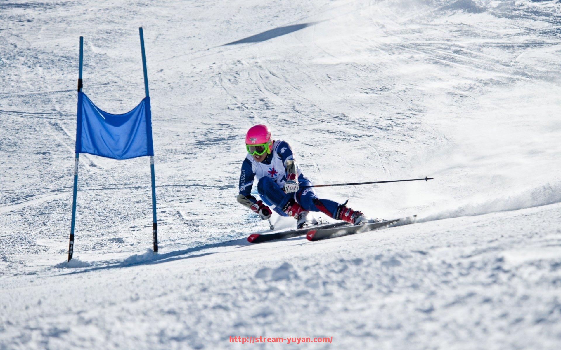 雨燕直播-火箭队球员哈斯个人简介与效力数据分析